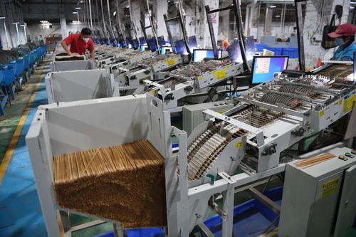 以竹代塑 計算機視角下的優勢與挑戰