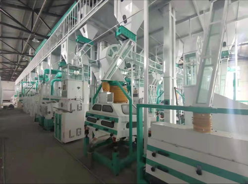 實(shí)拍大型全自動(dòng)水稻加工大米設(shè)備及其價(jià)格分析